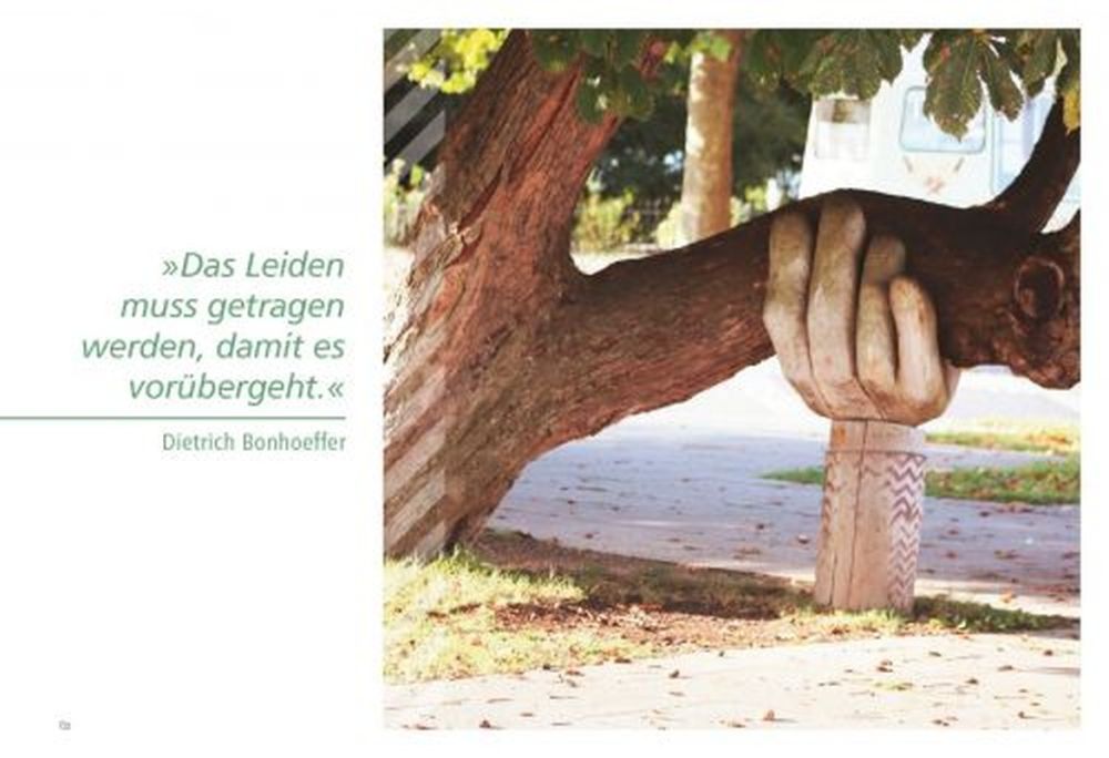 Diagnose: Hoffnung - Menschen berichten, wie sie mit Krisen fertiggeworden sind -  Autor: Hartmut Jaeger (Hrsg.) - Broschiert 1. Auflage (19 x 26 x 0,5 cm)