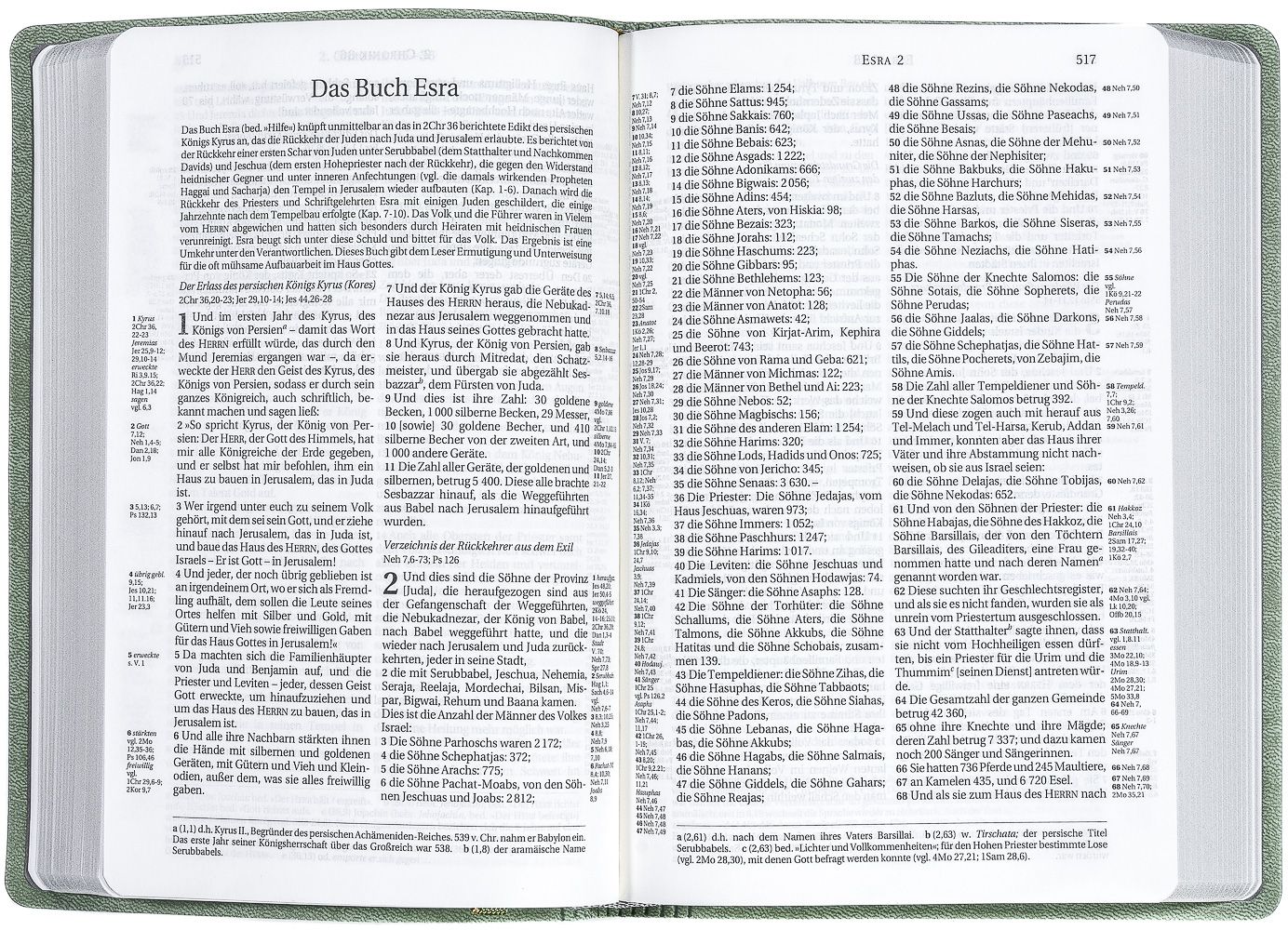 Schlachter 2000 Bibel - Taschenausgabe, oliv, grauer Farbschnitt -  - Softcover 11. Auflage (13,8 x 19,9 x 2,9 cm)