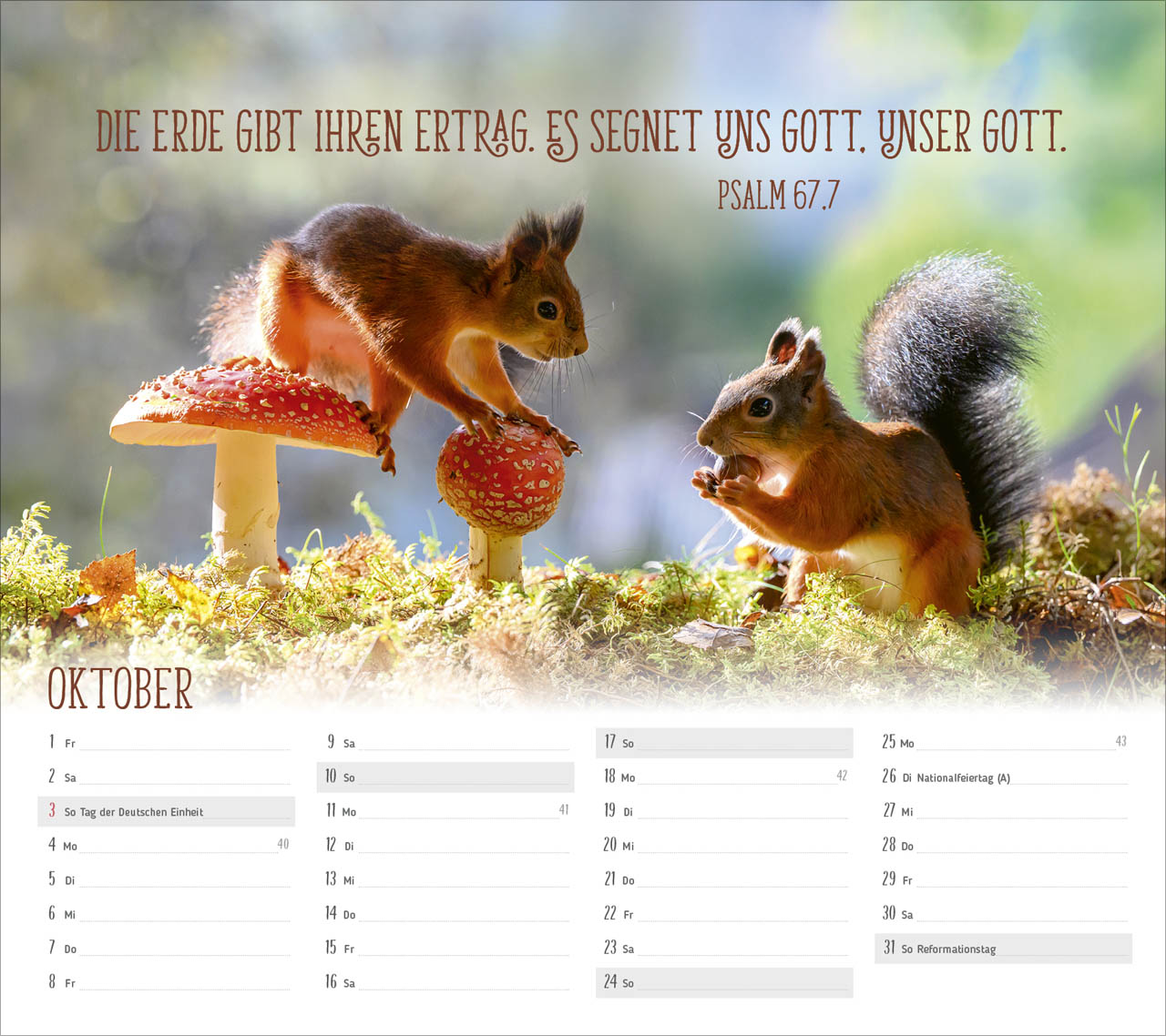 Du sorgst für mich 2027 – Tischkalender