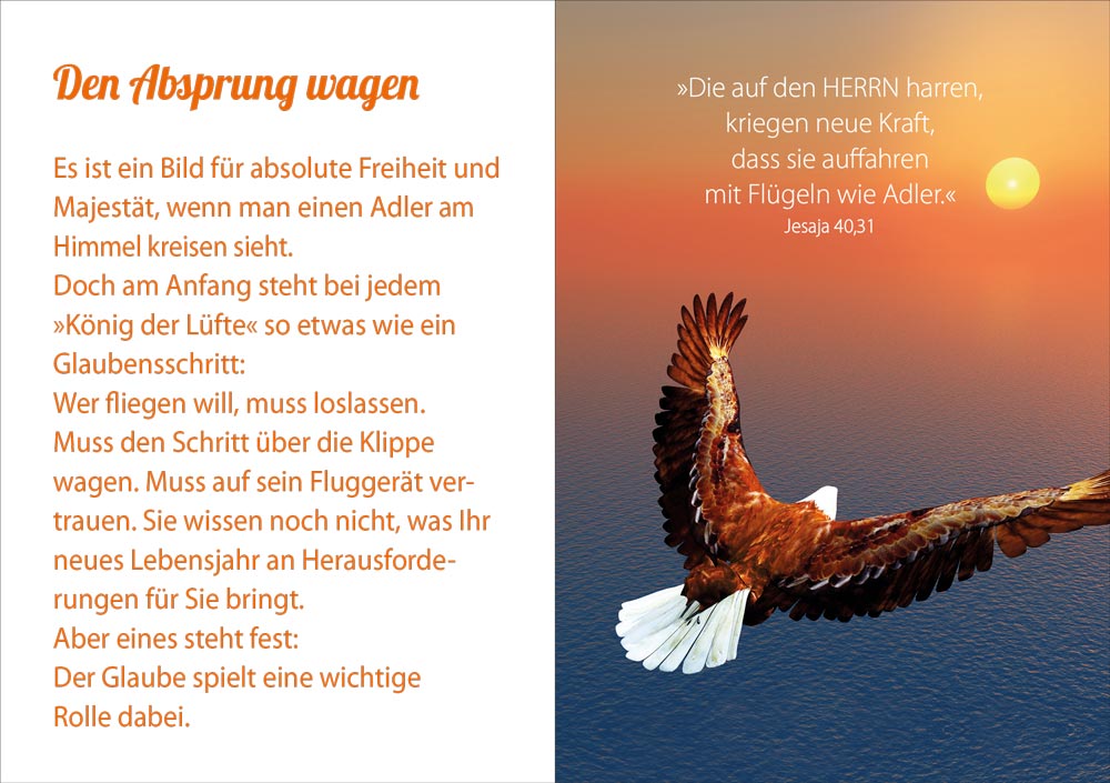 Grußheft So frei wie ein Adler - Anlass: Geburtstag (14,8 x 10,5 cm) Grußheft So frei wie ein Adler - Anlass: Geburtstag (14,8 x 10,5 cm)
