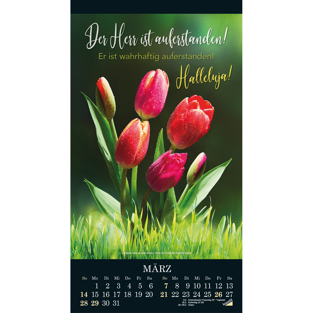Die Wunder deiner Werke 2027 -  (21 x 38 x 0,1 cm)