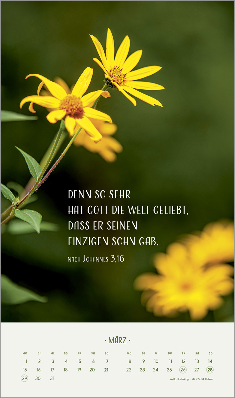 Zarte Blumengrüße 2027 – Posterkalender