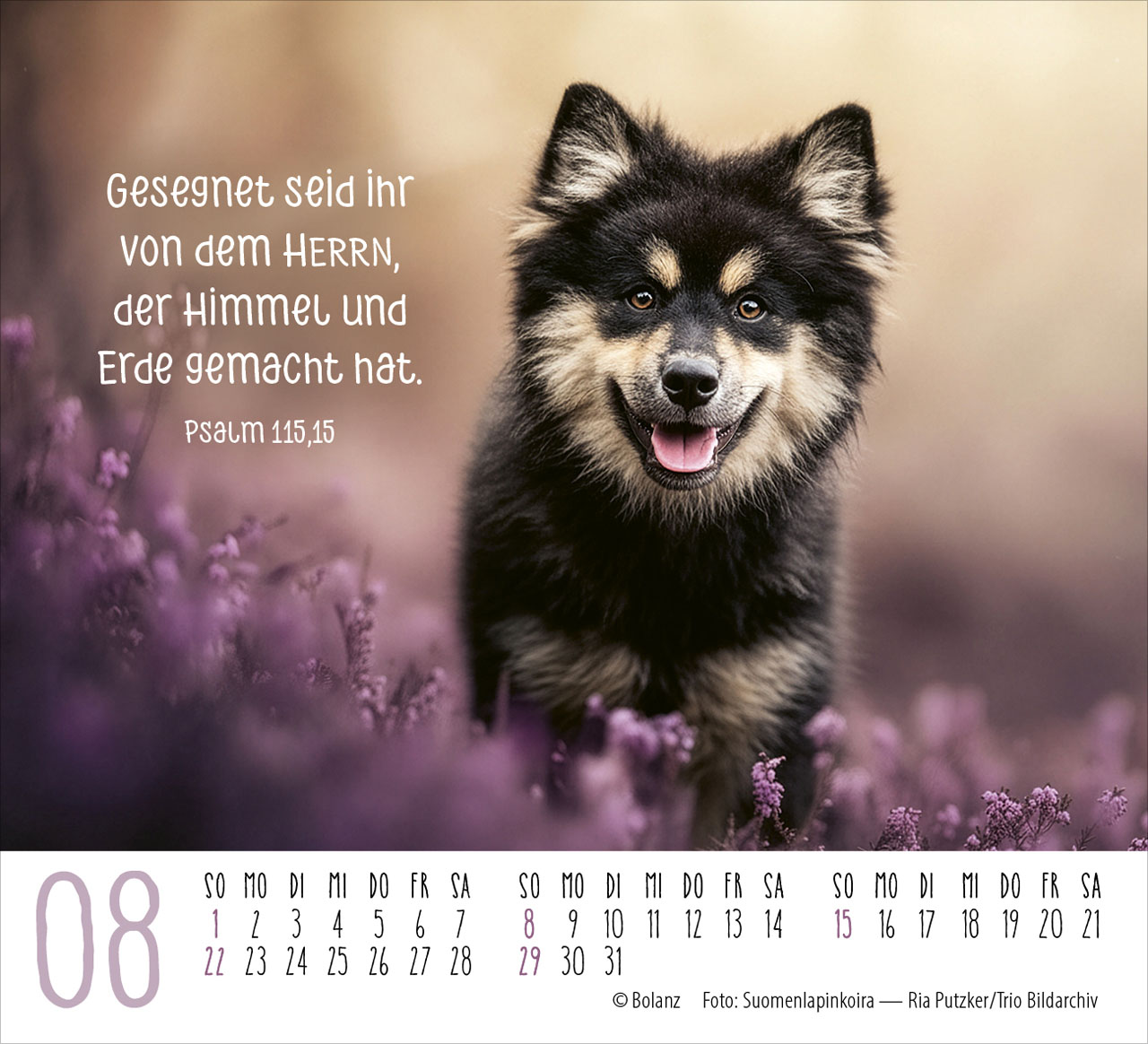 Hunde – treue Wegbegleiter 2027 – Minikalender