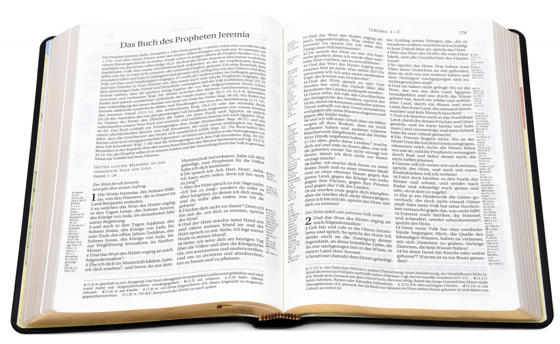 Schlachter 2000 - Standardausgabe, Kalbsleder mit Goldschnitt -  - Softcover 6. Auflage (17,1 x 23,6 x 3 cm)